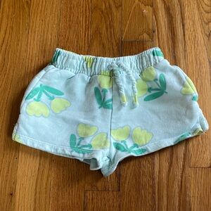 Zara Floral Shorts